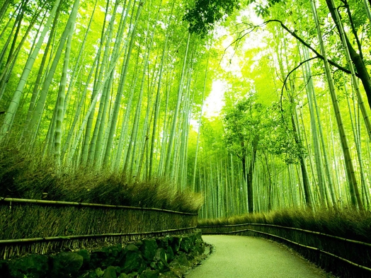 ◆◇新緑で初夏を感じる京都を満喫♪＜素泊＞◇◆